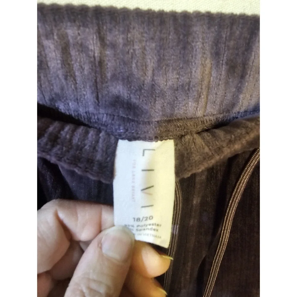 Livi Lane Bryant Velor Top and Pants Size 18/20 2 Piece Set  Plus‎ Size